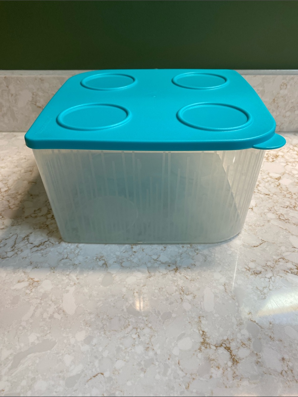 Tupperware Clear Container with Bright Teal Lid